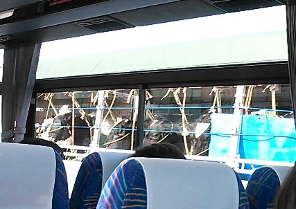 山和会旅行 18.jpg